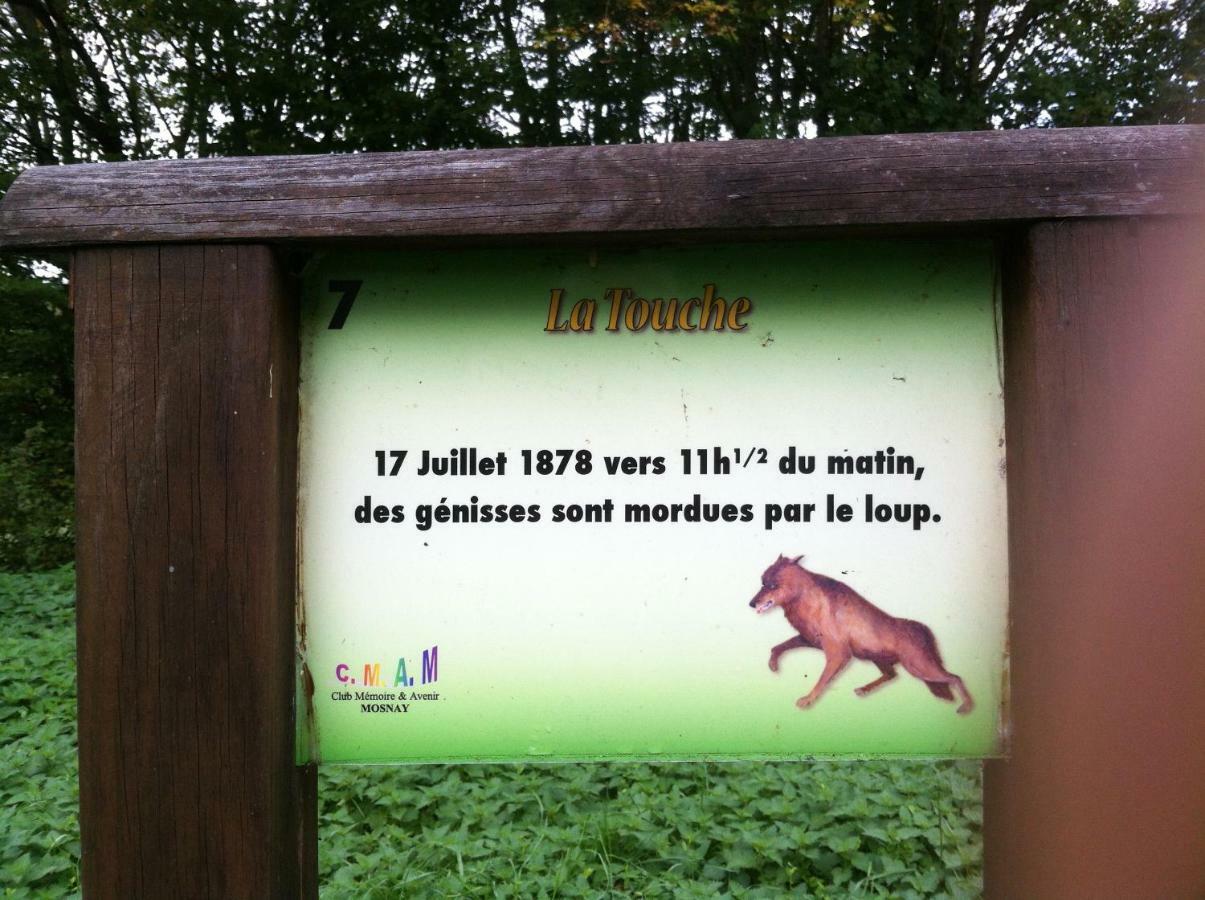Bed and Breakfast Domaine De La Touche Mosnay Exterior foto